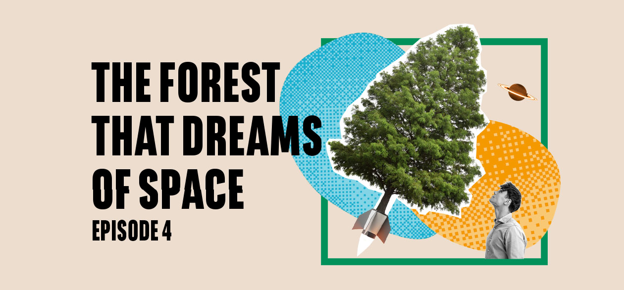 The forest that dreams of space