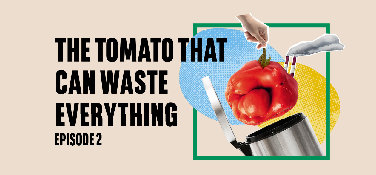 The tomato that can waste everything